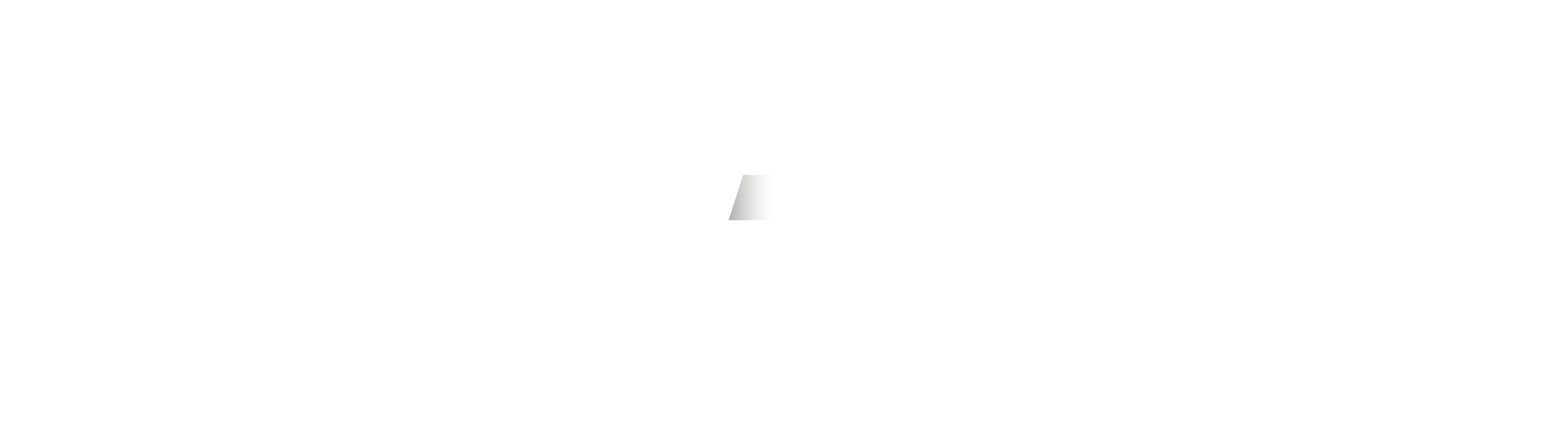 RASCH AUTOMOBILE GMBH EST. 1991